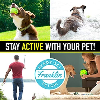 Foto 4 | Foto 4 | Juguete Interactivo Para Perros Franklin Ready Set Fetch! Ríe Y Peluca - Venta Internacional.