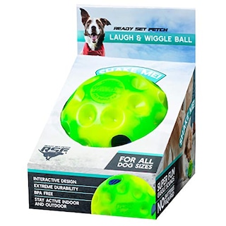 Foto 5 | Foto 5 | Juguete Interactivo Para Perros Franklin Ready Set Fetch! Ríe Y Peluca - Venta Internacional.