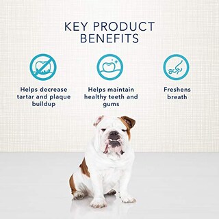 Foto 4 | Foto 4 | Golosinas Para Perros Blue Buffalo Dental Bones, Grandes, 22,5 Kg (50 Libras) - Venta Internacional.