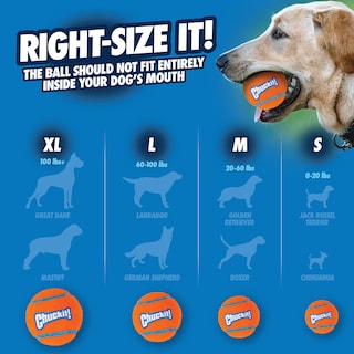 Foto 4 | Foto 4 | Juguete Para Perros Chuckit! Pelota De Tenis Pequeña Para Perros De 0 A 9 Kg, Paquete De 2 - Venta Internacional.
