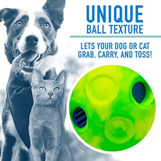 Foto 4 | Foto 4 | Pelota Interactiva Franklin Sports Rsf Laugh And Wiggle Ball - Venta Internacional.