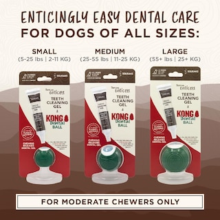 Foto 4 | Foto 4 | Kit De Pelotas Dentales Tropiclean Enticers Kong Para Perros Pequeños - Venta Internacional.