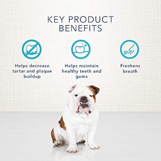 Foto 4 | Foto 4 | Golosinas Para Perros Blue Buffalo Dental Bones, Grandes, 50 Libras+1,06 Kg - Venta Internacional.