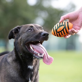 Foto 2 | Foto 2 | Pelota De Fútbol De Goma Para Perros Nerf Con Chirriador En Espiral, Naranja - Venta Internacional.