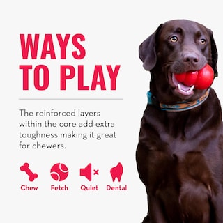 Foto 5 | Foto 5 | Juguete Dental Masticable Para Perros Kong Corestrength Pajarita Bone - Venta Internacional.