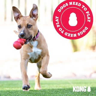 Foto 7 | Foto 7 | Juguete Dental Masticable Para Perros Kong Corestrength Pajarita Bone - Venta Internacional.