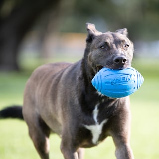 Foto 2 | Foto 2 | Pelota De Fútbol Nerf Dog Ridged Con Chirriador Interactivo - Venta Internacional.