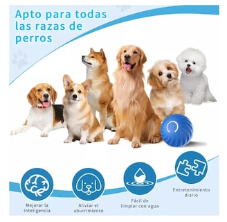 Foto 3 | Foto 3 | Juguete Interactivo Para Mascotas Que Se Mueve Automáticamen