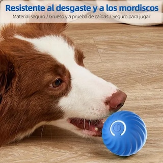 Foto 3 | Foto 3 | Juguetes Interactivos Xtellar Pelotas Para Perros Con Funda De Felp