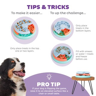 Foto 4 | Foto 4 | Juego Interactivo De Rompecabezas Para Perros Y Alimentador Lento Outward Hound - Venta Internacional.