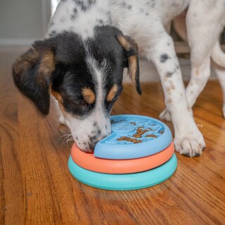 Foto 5 | Foto 5 | Juego Interactivo De Rompecabezas Para Perros Y Alimentador Lento Outward Hound - Venta Internacional.