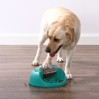 Foto 7 | Foto 7 | Comida Para Perros Puzzle Slow Feeder Outward Hound Nina Ottosson - Venta Internacional.