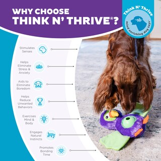 Foto 6 | Foto 6 | Puzzle Interactivo Para Perros De Peluche Outward Hound Nina Ottosson - Venta Internacional.