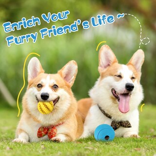 Foto 6 | Foto 6 | Juego De 2 Rompecabezas Para Perros Hippih, Interactivos Para Perros Grandes - Venta Internacional.