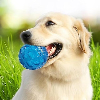 Foto 1 | Foto 1 | Pelota Elástica Pet Sounding Toy Golden Retriever Puppy - Venta Internacional.