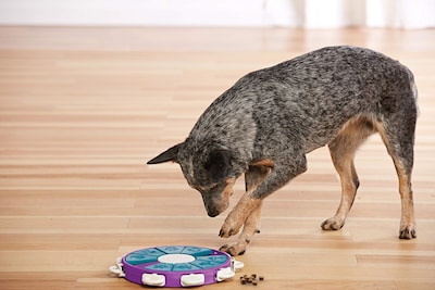Foto 7 | Foto 7 | Juguete Para Perros Outward Hound Nina Ottosson Dog Twister Level 3, Color Morado - Venta Internacional.