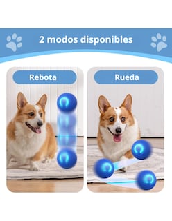 Foto 5 | Foto 5 | Pelota Led Interactiva Para Mascotas Color Azul