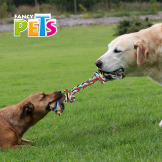 Foto 2 | Foto 2 | Juguete Fancy Pets FL7270 en Forma de Hueso de Hilo Tamaño 35 Centímetros Multicolor para Perro
