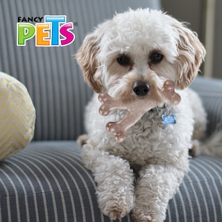 Foto 2 | Foto 2 | Juguete Hueso Triple Fancy Pets FL9306 de Bambú Sabor Tocino para perro Tamaño Chico