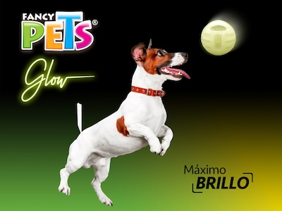 Foto 3 | Foto 3 | Juguete de Pelota Glow Fancy Pets que Brilla en la Oscuridad para Perro
