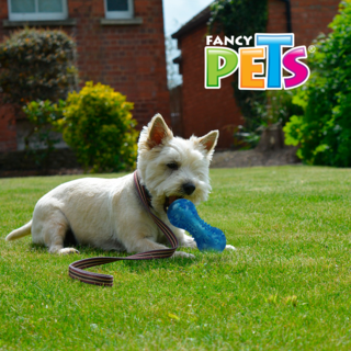Foto 4 | Foto 4 | Pesa Flexible para Perro Fancy Pets con Sonido