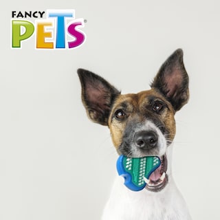 Foto 4 | Foto 4 | Juguete Dental para Perro Fancy Pets en Forma de Filete con Cerdas