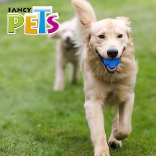 Foto 2 | Foto 2 | Juguete Pelota Prisma para Perro Fancy Pets con Sonido