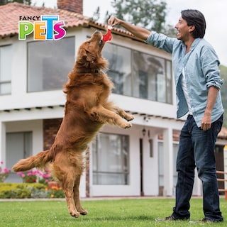 Foto 3 | Foto 3 | Juguete Dental para Perro Fancy Pets Sabor Pollo