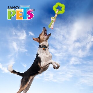 Foto 3 | Foto 3 | Juguete para Perro Fancy Pets de Caucho Estrella con Cuerda