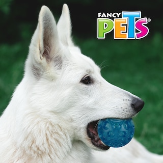 Foto 2 | Foto 2 | Pelota de Juguete para Perro Fancy Pets con Sonido color Azul