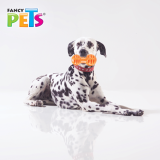 Foto 3 | Foto 3 | Juguete Pesa para Meter Premios para Perros Fancy Pets