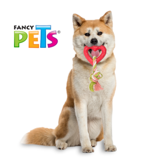 Foto 3 | Foto 3 | Juguete para Perro Fancy Pets Corazón con Cuerda