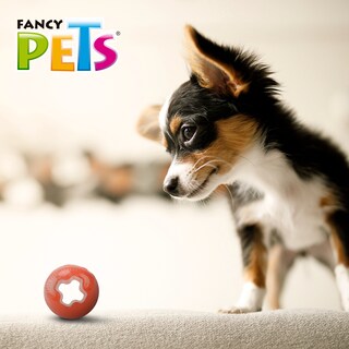 Foto 4 | Foto 4 | Fancy Pets Juguete Xtreme Bola Rojo Para Perro Tamaño Mini