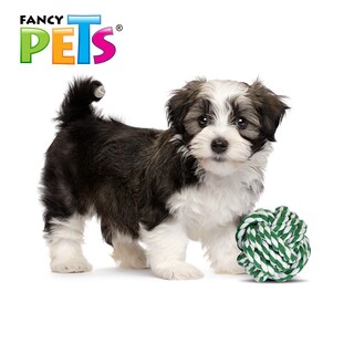 Foto 2 | Foto 2 | Fancy Pets Bola De Hilo Para Perro Multicolor Tamaño Extra Chico