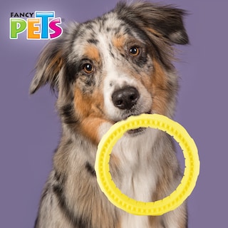 Foto 3 | Foto 3 | Fancy Pets Juguete Chew Aro Masticable Para Perro Tamaño Chico