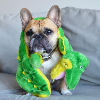 Foto 6 | Foto 6 | Juguete Para Perros Outward Hound Squeaker Matz Plush Gator Xl - Venta Internacional.