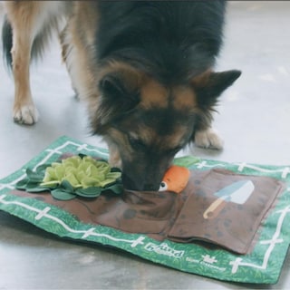 Foto 5 | Foto 5 | Juguete Para Perros Outward Hound Nina Ottosson Activity Matz Garden Game - Venta Internacional.