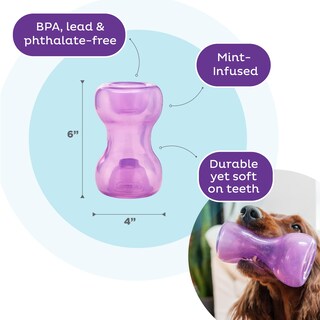 Foto 3 | Foto 3 | Juguete Para Perros Outward Hound Double Snoop Interactive Treats - Venta Internacional.