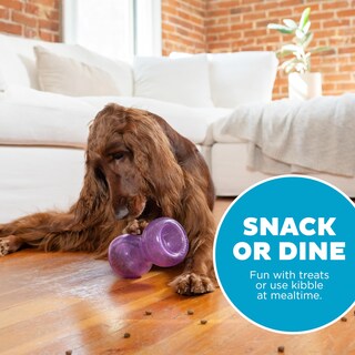 Foto 5 | Foto 5 | Juguete Para Perros Outward Hound Double Snoop Interactive Treats - Venta Internacional.