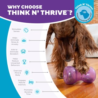 Foto 6 | Foto 6 | Juguete Para Perros Outward Hound Double Snoop Interactive Treats - Venta Internacional.