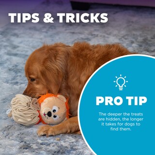 Foto 5 | Foto 5 | Puzzle Interactivo Para Perros De Peluche Y Bola De Taburete Outward Hound - Venta Internacional.