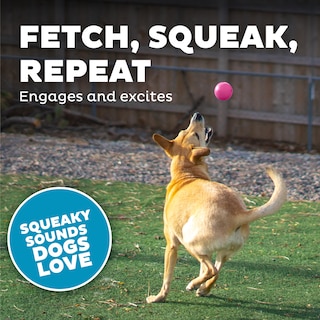 Foto 5 | Foto 5 | Bola Chirriante Dog Fetch Toy Outward Hound Orbee-tuff, Rosa - Venta Internacional.