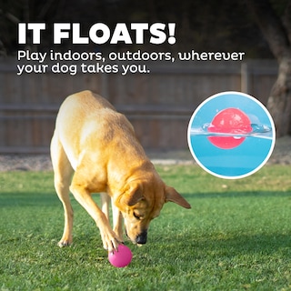 Foto 6 | Foto 6 | Bola Chirriante Dog Fetch Toy Outward Hound Orbee-tuff, Rosa - Venta Internacional.