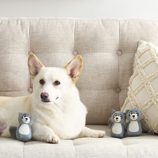 Foto 5 | Foto 5 | Juguetes De Repuesto Para Perros Outward Hound Squeakin' Racoon, Paquete De 3 - Venta Internacional.