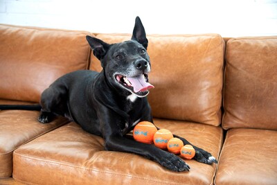 Foto 7 | Foto 7 | Juguete Para Perros Outward Hound Squeaker Ballz Fetch Small, Paquete De 8 - Venta Internacional.