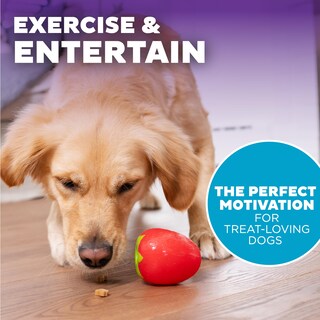 Foto 6 | Foto 6 | Juguete Masticable Para Perros Outward Hound Foodies, Zanahoria, Fresa, Rosa - Venta Internacional.