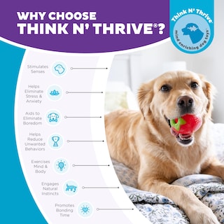 Foto 7 | Foto 7 | Juguete Masticable Para Perros Outward Hound Foodies, Zanahoria, Fresa, Rosa - Venta Internacional.