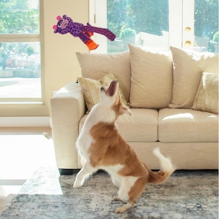 Foto 5 | Foto 5 | Puzzle Para Perros Outward Hound Nina Ottosson Silly Legz De Peluche - Venta Internacional.