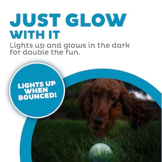 Foto 3 | Foto 3 | Bola Estroboscópica Outward Hound Orbee-tuff De Juguete Para Perros Con Luz Led - Venta Internacional.