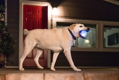 Foto 7 | Foto 7 | Bola Estroboscópica Outward Hound Orbee-tuff De Juguete Para Perros Con Luz Led - Venta Internacional.